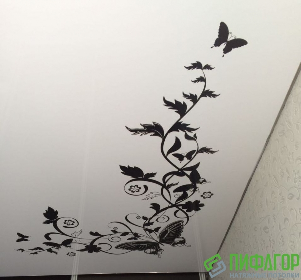 Натяжные потолки с фотопечатью