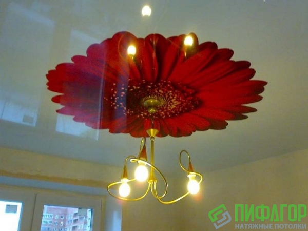 Фото натяжного потолка
